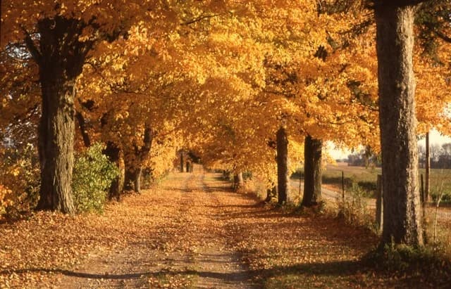 Autumn Budget 2026: What next for PWLB borrowing?