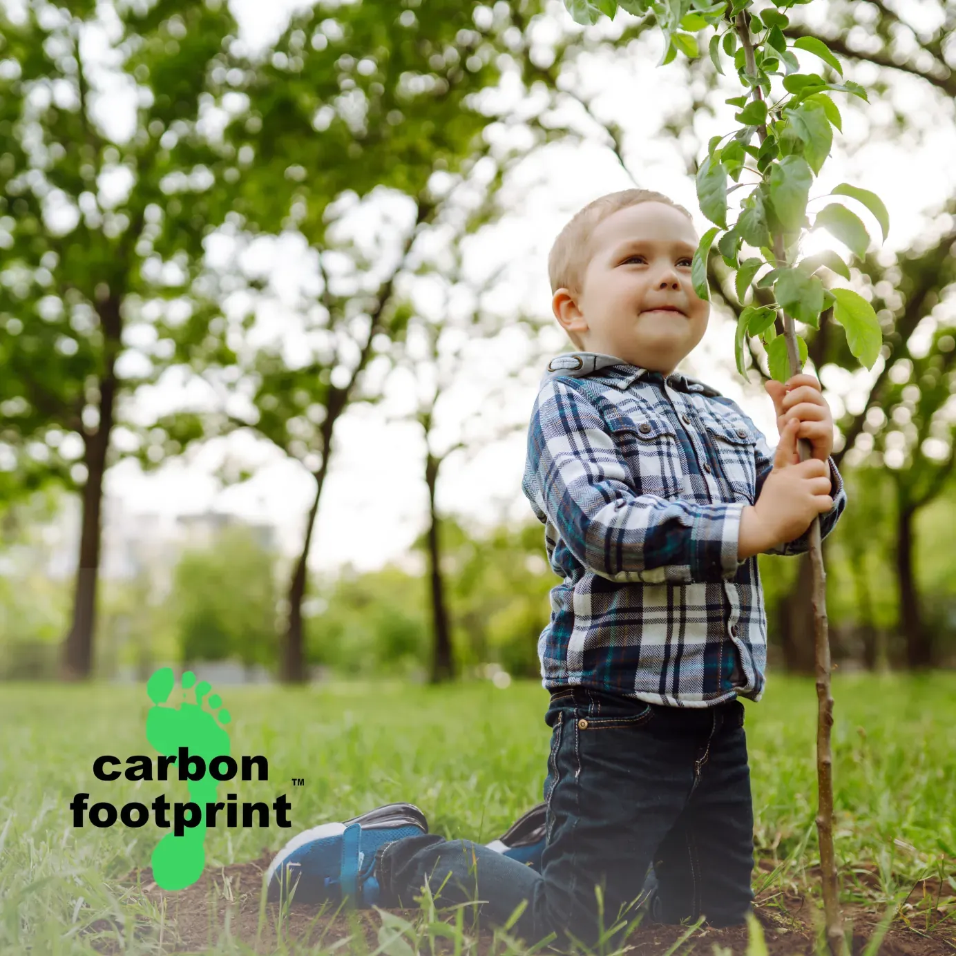 CSR — child planting a tree (carbon offsetting)