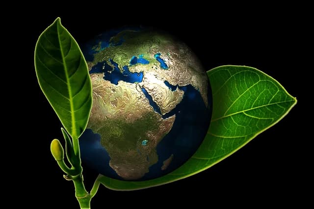 Stewardship – Investors Can Set the Course