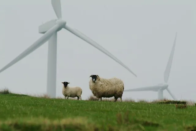 Green Bonds and Sustainability-Linked Bonds – What’s the Distinction?
