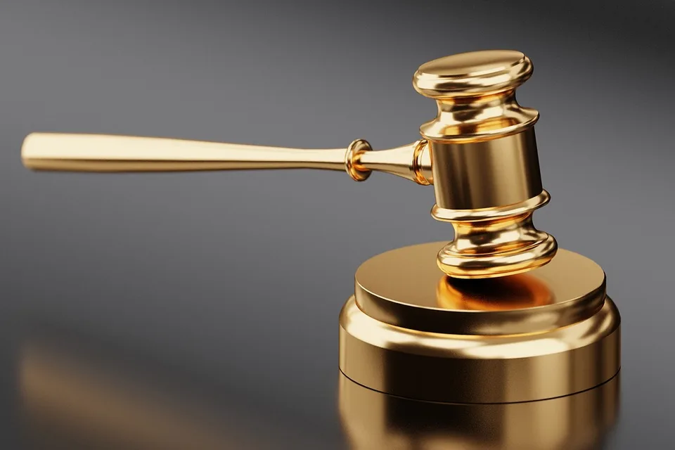 The First Subsidy Control Regime Judgement